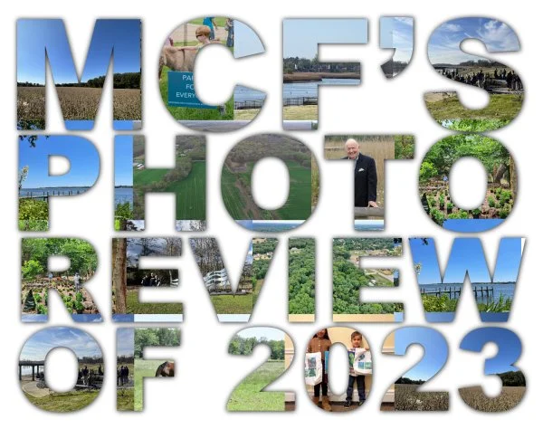 2023 Year In Review