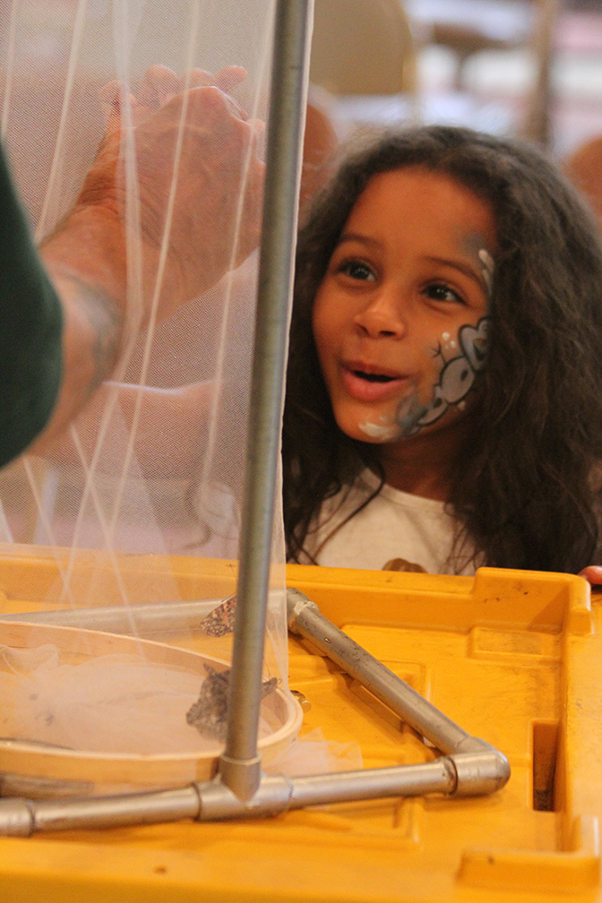 A young multiracial child with a face painted with flowers smiles at an MCF environmental educator shows them butterflies in a net.