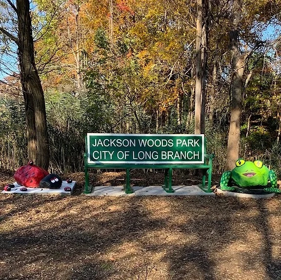 A green sign with white text reads "Jackson Woods Park City of Long Branch". The sign is nestled between large boulders painted as a green frog and red ladybug, with changing autumn trees behind.