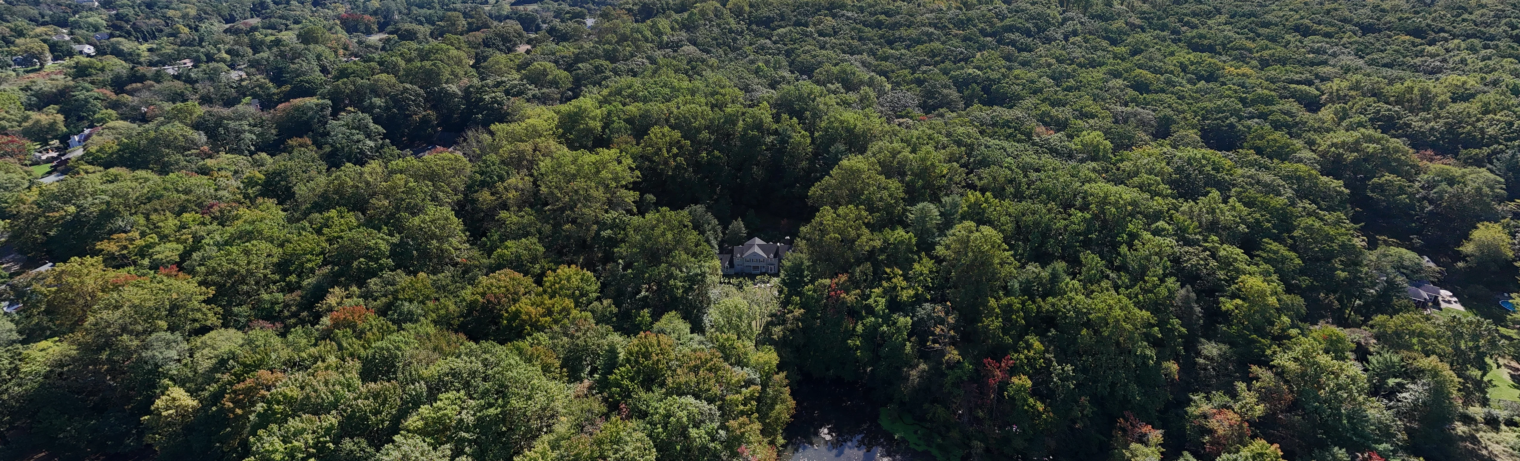 Aerial view of Scudder Preserve, where dense green trees surround a white historic house on the property.